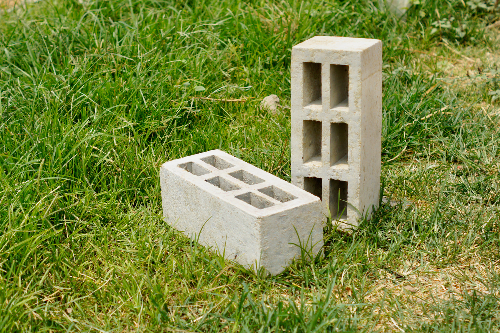 Hollow cement blocks on grass