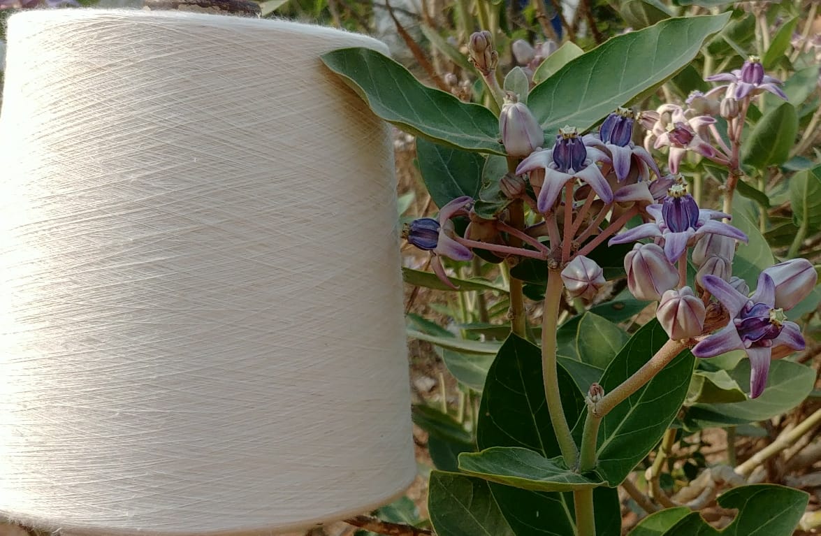 Yarn with plant