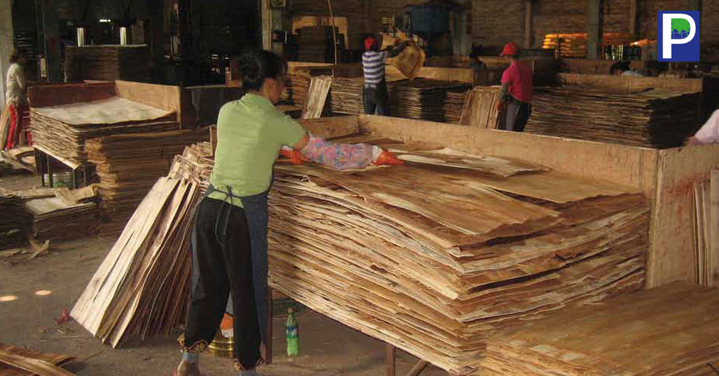 stacking sheets of wood for plywood